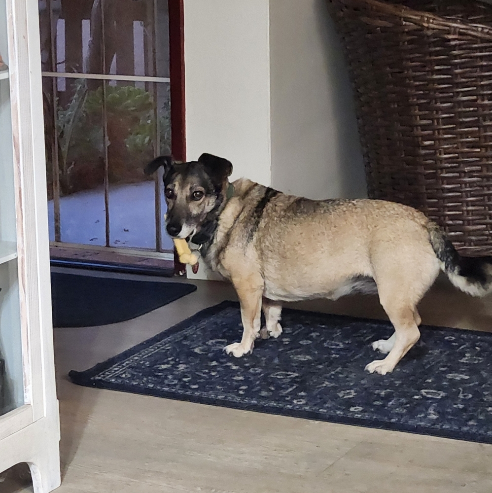 Extra Label - Picture 2 of 8